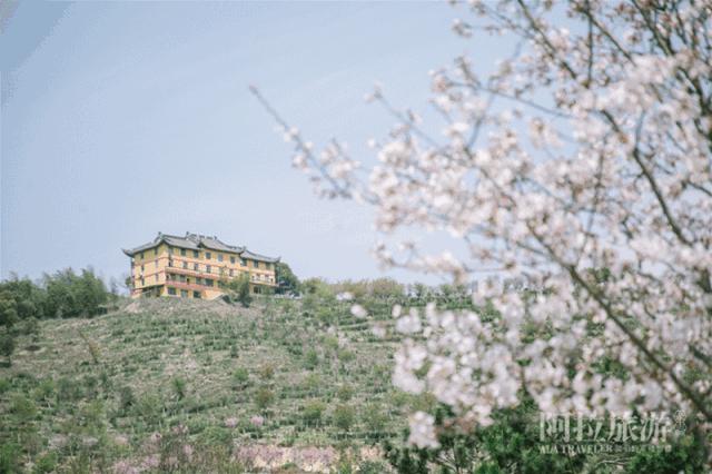 宁波室外十大网红游乐项目,宁波休闲打卡地