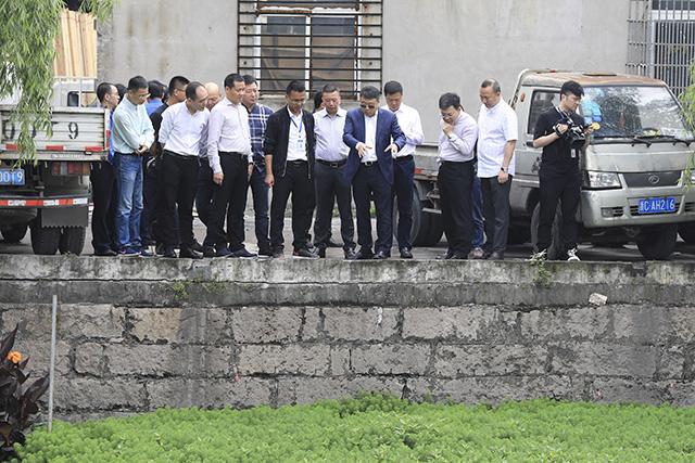 领导督查黑臭水体整治和零直排区,区领导检查推进黑臭水体治理工作