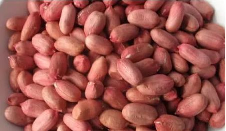 胃病口臭怎么治最有效的方法,治胃病不好消化的药