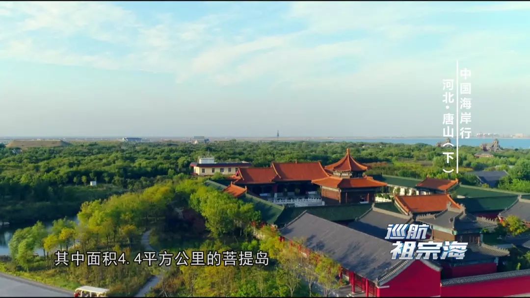 我想去唐山三岛曹妃甸港看看感受下百年“评”韵绽芳华