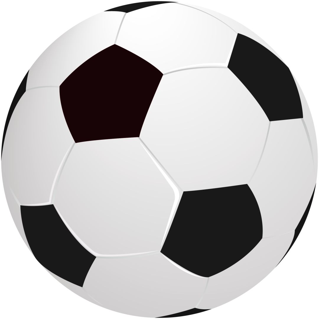 天津泰达女子足球队名单,北中医女足现役队员