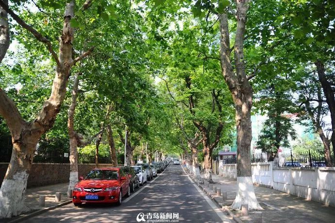 青岛一座浓厚德式风情的海滨城市,青岛一座很美的城市