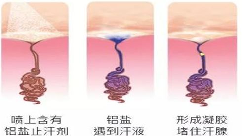 超级好闻的止汗喷雾,夏季美白防汗喷雾