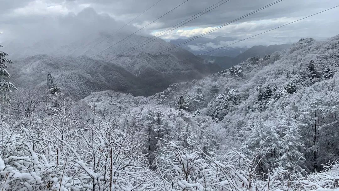 2019环富士山超级越野赛,环富士山越野赛2023冠军