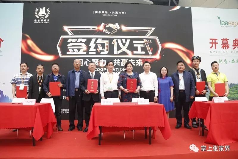 杭州茶博会莓茶是哪种,茶博会莓茶