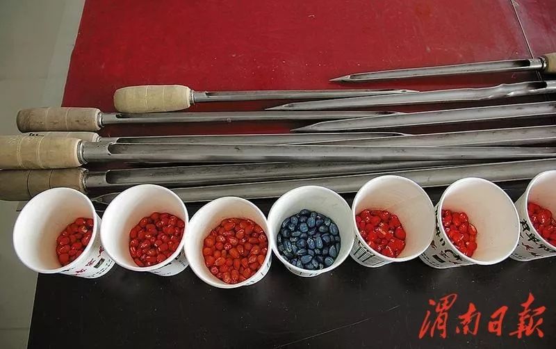 甘肃全力推动现代种业转型,聚焦优势特色产业现代种业发展