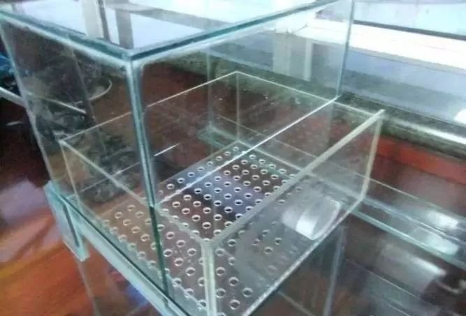 1.5米生态缸的用料及造景,1.2米的缸适合做什么缸