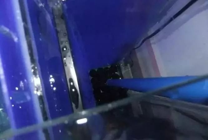 1.5米生态缸的用料及造景,1.2米的缸适合做什么缸