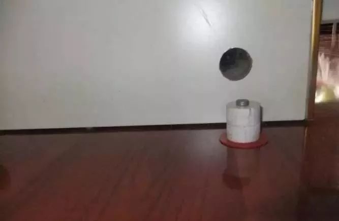 1.5米生态缸的用料及造景,1.2米的缸适合做什么缸