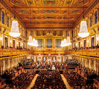 维也纳公交,维也纳公交815