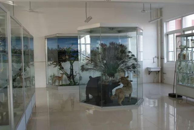 常州戚墅堰实验中学招生电话,常州市戚墅堰实验中学录取分数线