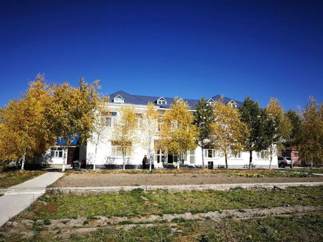 雪都阿勒泰·净土喀纳斯走进北京、上海、武汉、郑州四城向全国发起邀请：冬季做客人类滑雪起源地阿勒泰·人间净土喀纳斯不冬眠