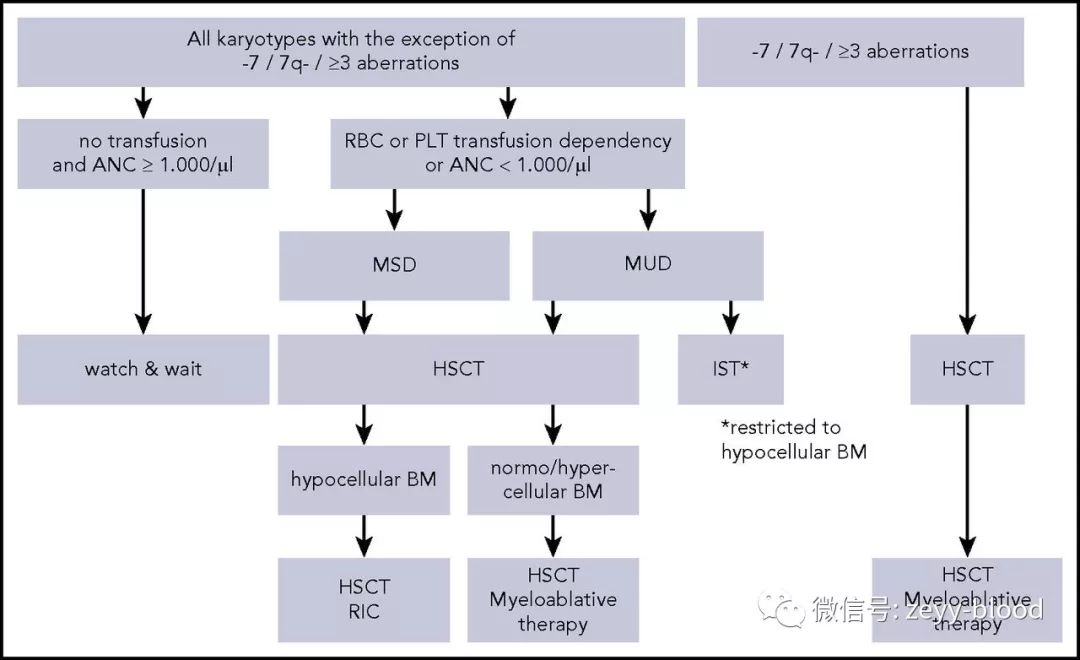 儿童mds骨髓移植生存期,儿童mds诊断专家共识
