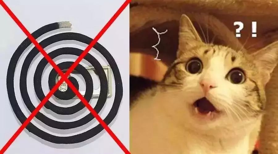 日本蚊子驱蚊神器,夏天灭蚊必备好物