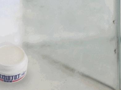 日本蚊子驱蚊神器,夏天灭蚊必备好物