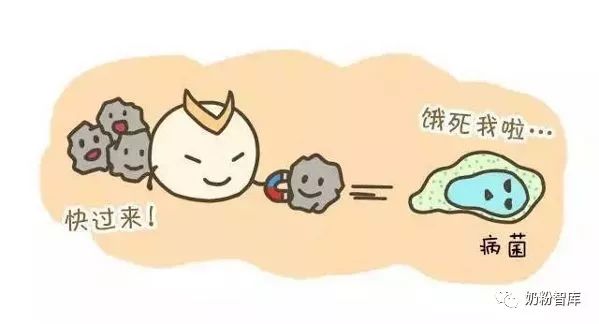 婴儿补充乳铁蛋白有什么好处,补充乳铁蛋白可以预防新冠病毒吗