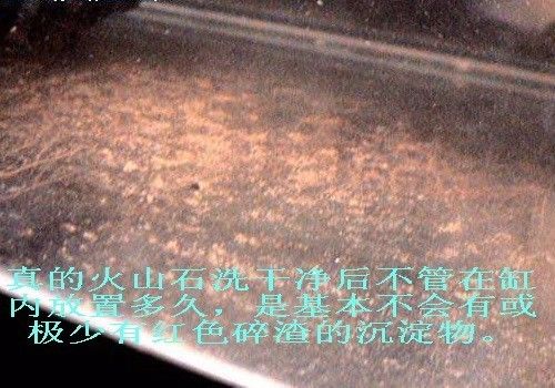 缸里面的底砂到底是什么,高手揭秘必须知道的技巧