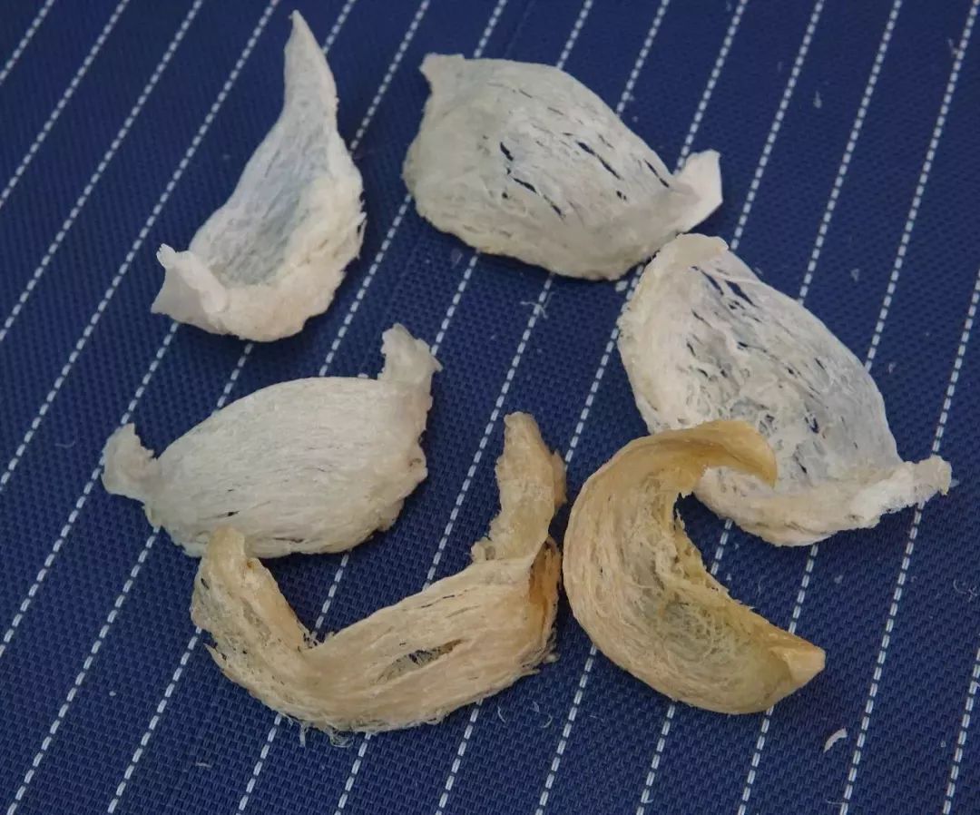 cici推荐,cici推荐代购