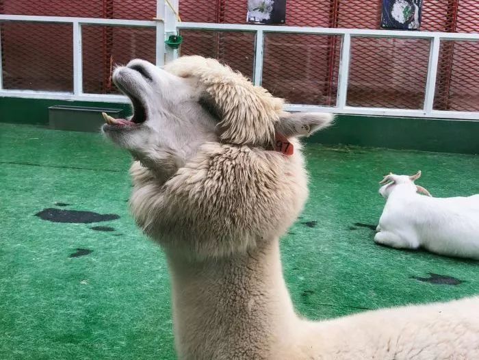 魔都情侣探店,约会必去的10家餐厅