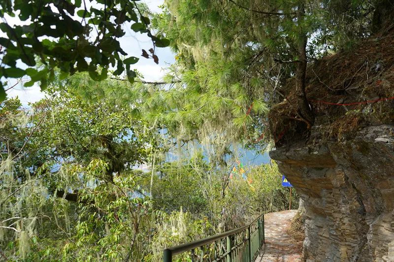 从丽江到茨中:菜场买恶魔果实、修道院酿酒士、高原油泼面……开启了无数的第一次|香格里拉环线(上)