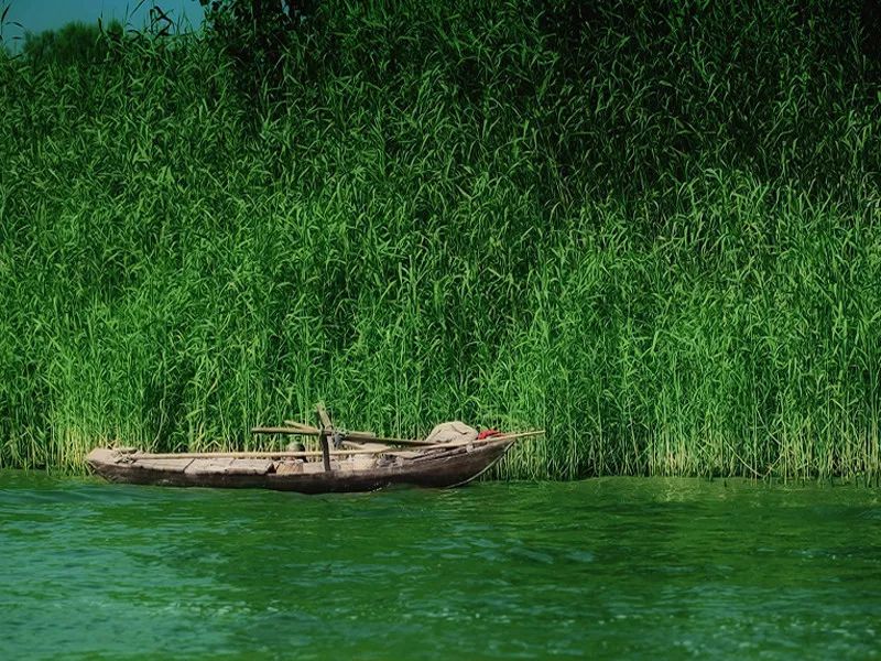 一起走吧粤语歌曲,一起走吧背起行囊