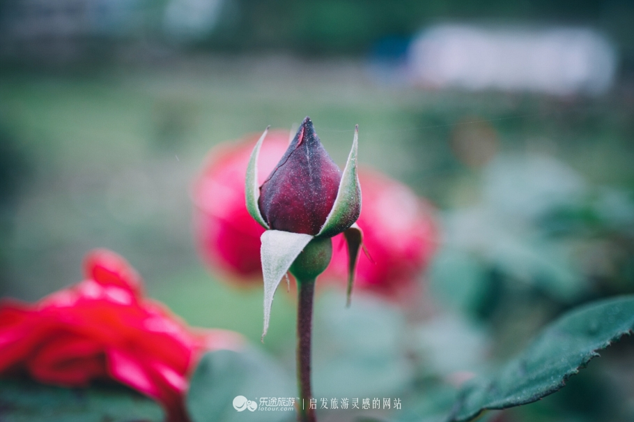 安徽南部三大名山,这就是隐藏在大山里的世外桃源