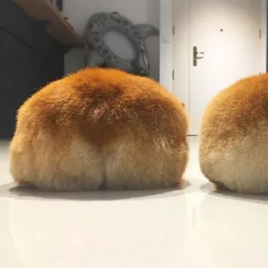 把我设置成不可见了是什么心态,为什么有人把朋友圈设成三天可见