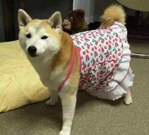 朋友圈设成三天可见代表着什么,有时候把朋友圈设成三天可见