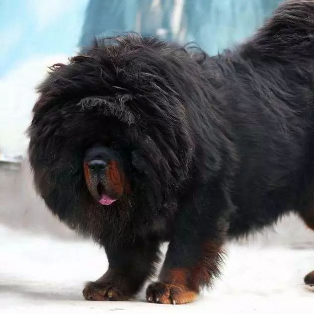 朋友圈设成三天可见代表着什么,有时候把朋友圈设成三天可见