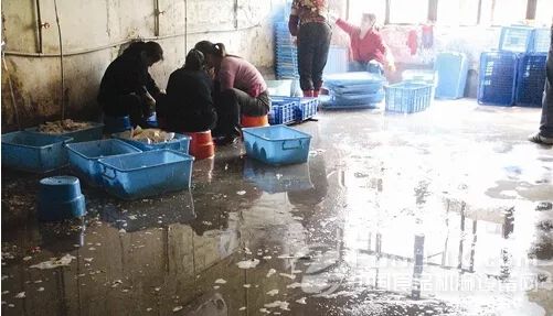 消毒喷雾除细菌,除细菌真菌异味消毒液