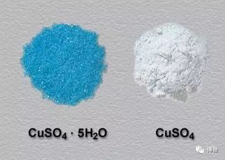 脑子进水了后悔不,脑子进水了掉井里