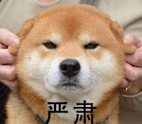 脏东西越洗越脏,到底是什么东西越洗越脏