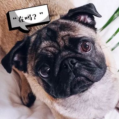 超甜预警,适合夏天的甜酷暗黑试色