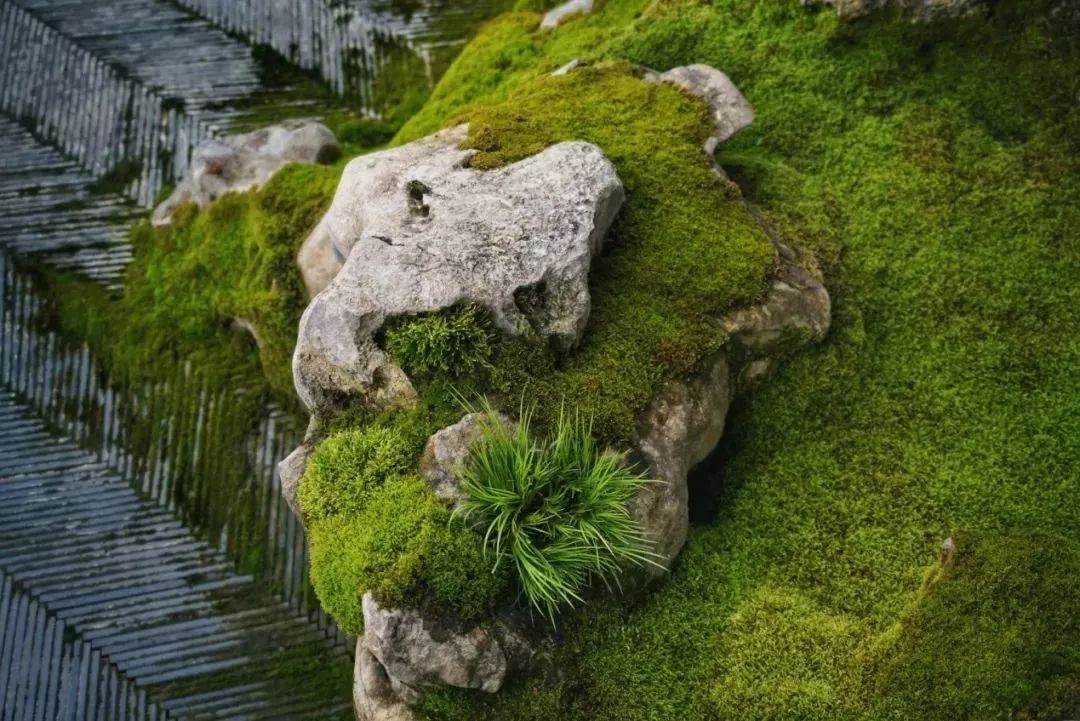 上海最高楼云端上的风景,在上海最高的楼俯瞰风景