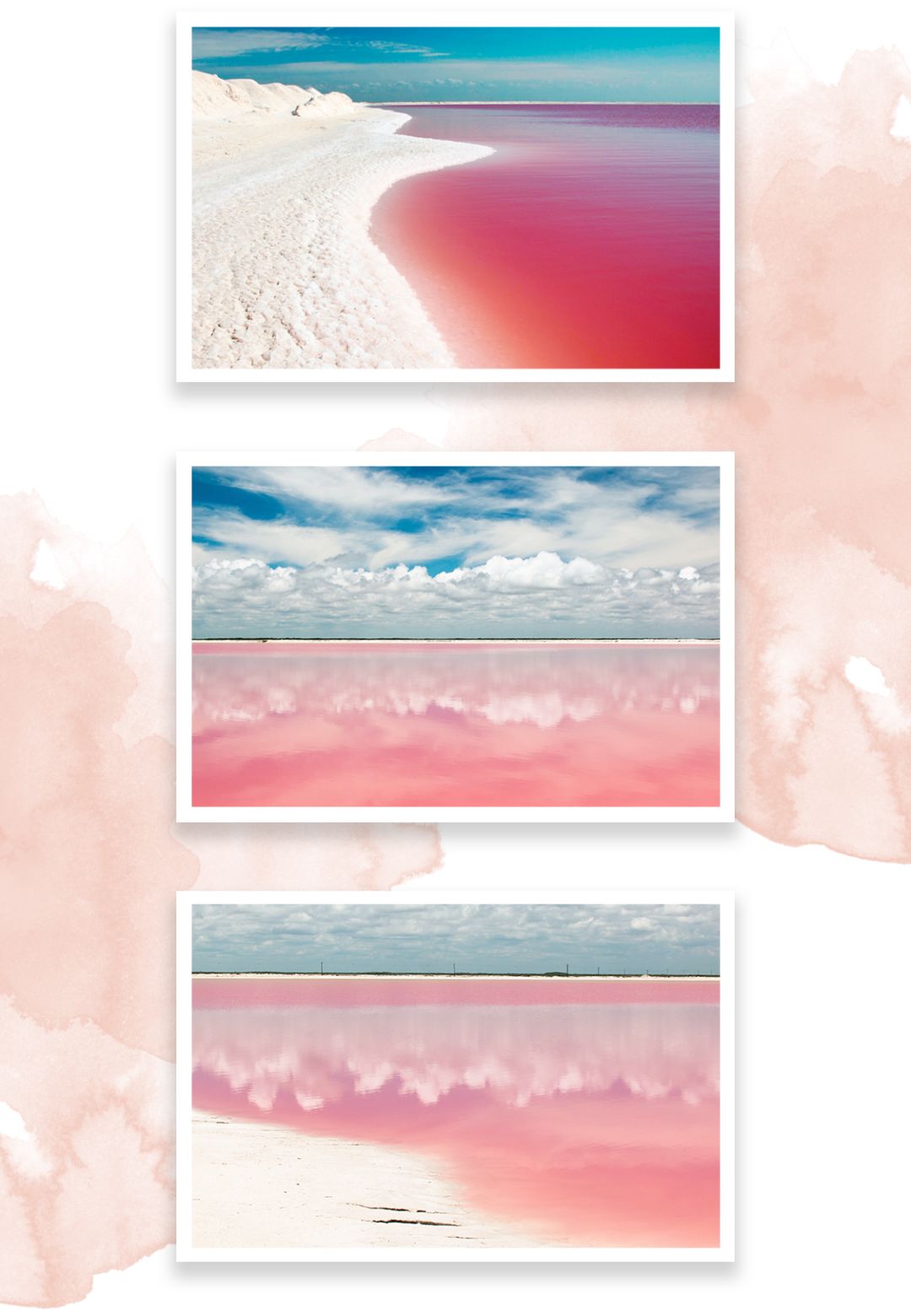 520去哪比较浪漫,520发愁送啥