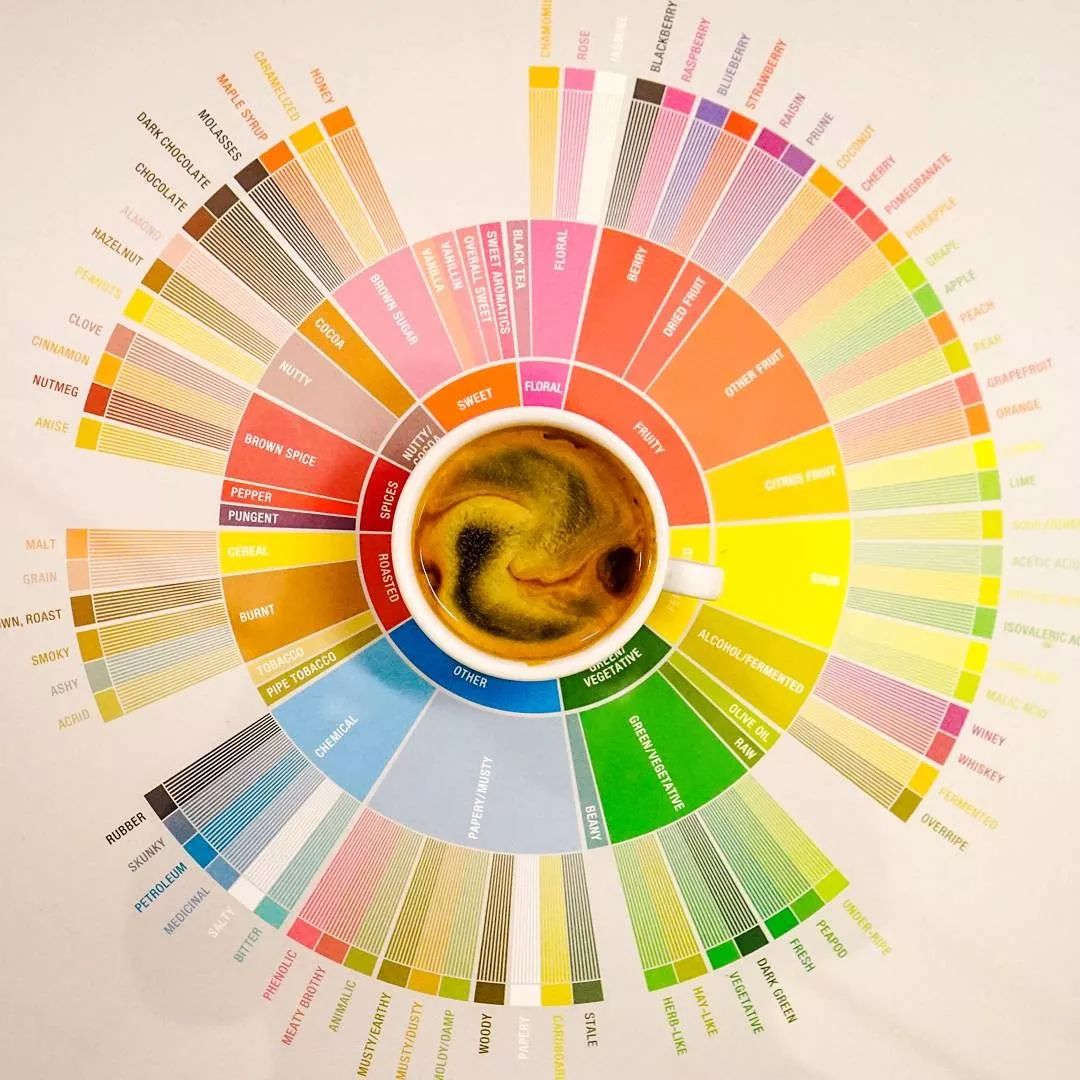 一杯咖啡导致的两起惨案,一杯咖啡的来龙去脉