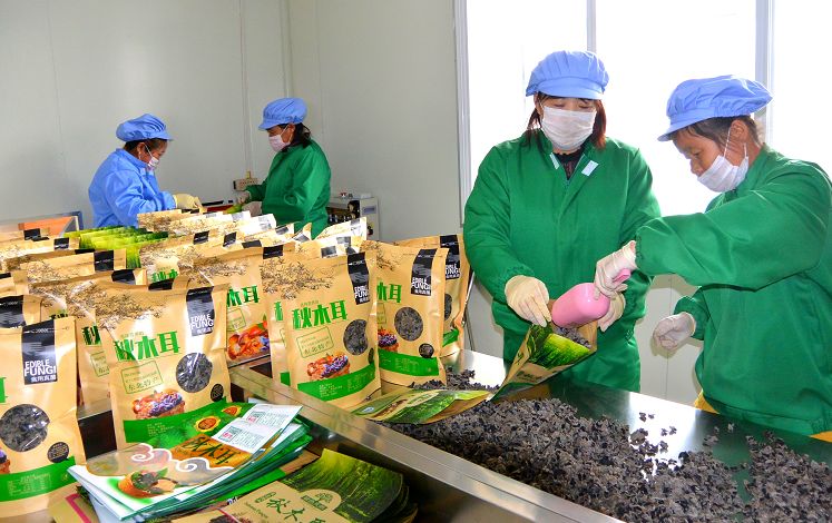 执“绿色”巨笔绘生态画卷——白山市建设中国绿色有机谷·长白山森林食药城素描