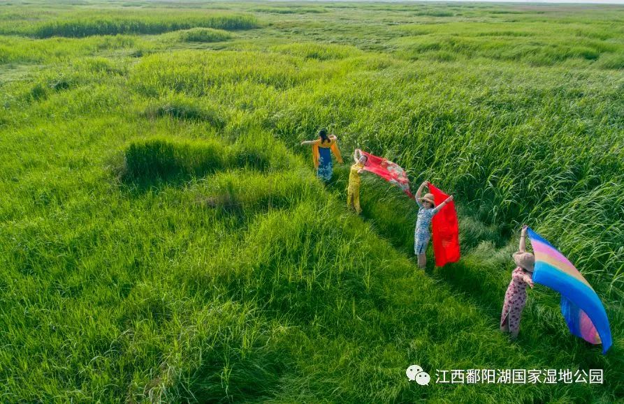 519中国旅游免费景区,519旅游日免费旅游景点有哪些