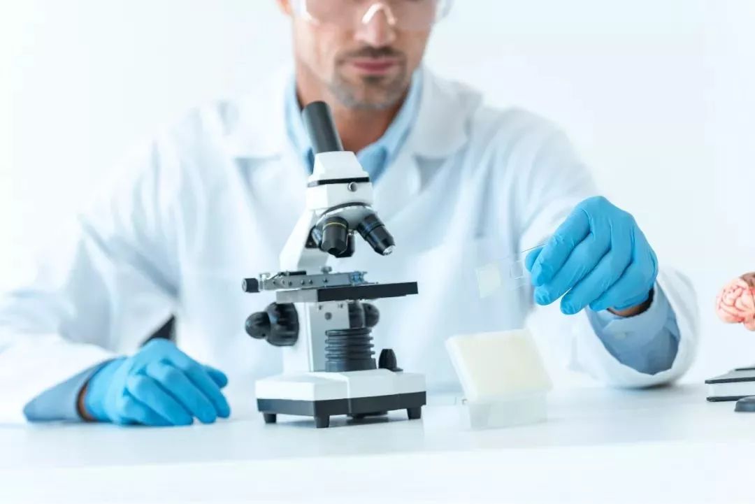 儿童专家讲挑食,专家说孩子挑食怎么办