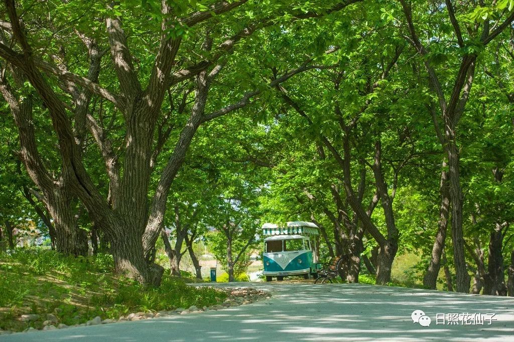 美炸了！初夏花仙子！有爱的人免费玩！把最美奉献给你！