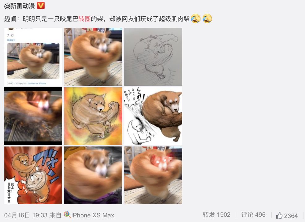 日本“手工鬼才”捏的小动物模型，比表情包还沙雕