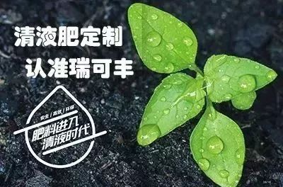 地下害虫的主要防治措施是什么,地下害虫和地面害虫怎样防治