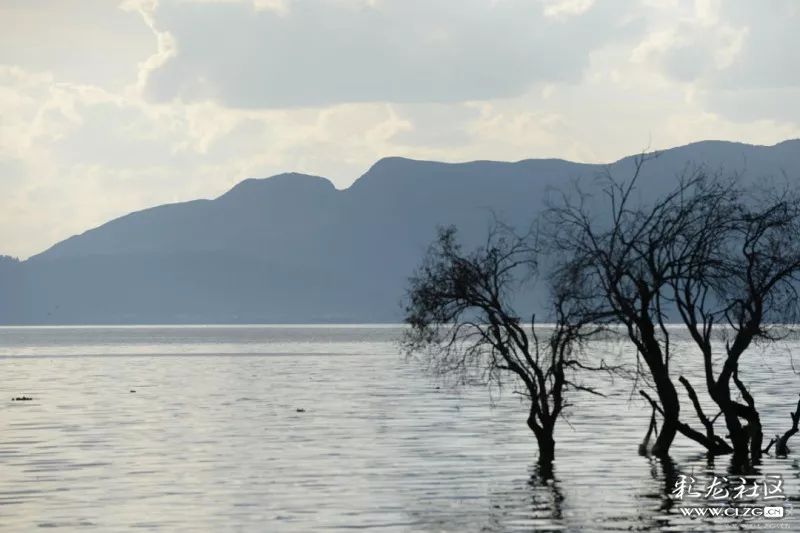城味是什么,城味