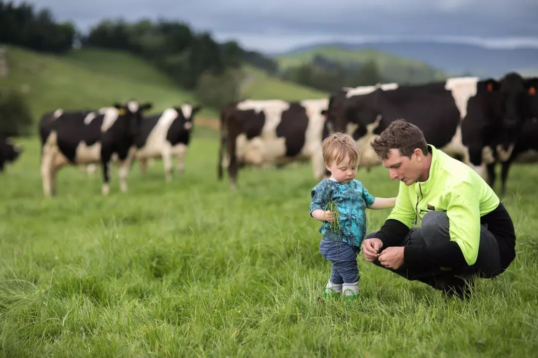 哪几款奶粉比较好喝一点,口味好喝的宝宝奶粉推荐