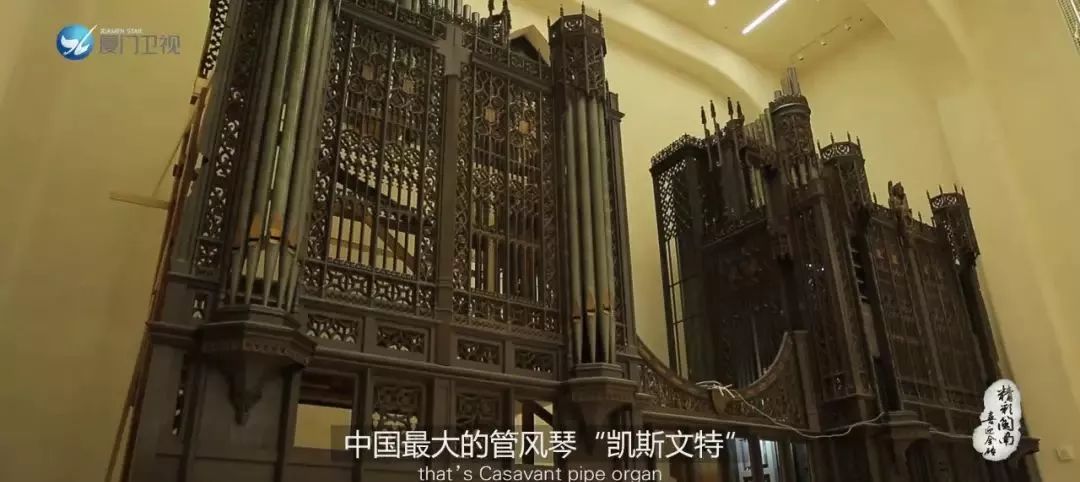 博物馆日各地有什么活动,厦门必须去的博物馆