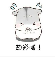 博物馆日各地有什么活动,厦门必须去的博物馆