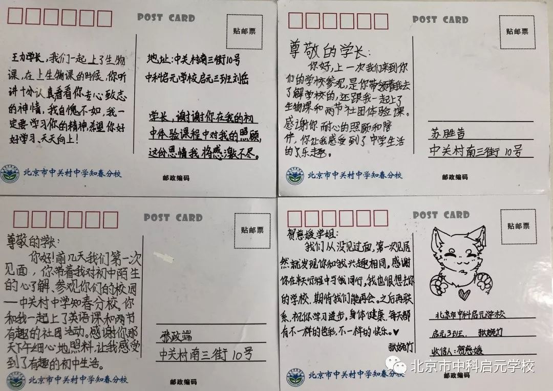 小初衔接学校活动,小初衔接