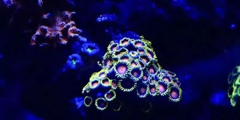 哥稳住啊，千万别在执迷不悟了！！