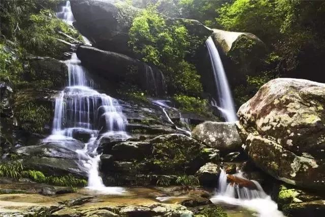 南平除了武夷山还有哪些景点,福建南平市武夷山风景区游记