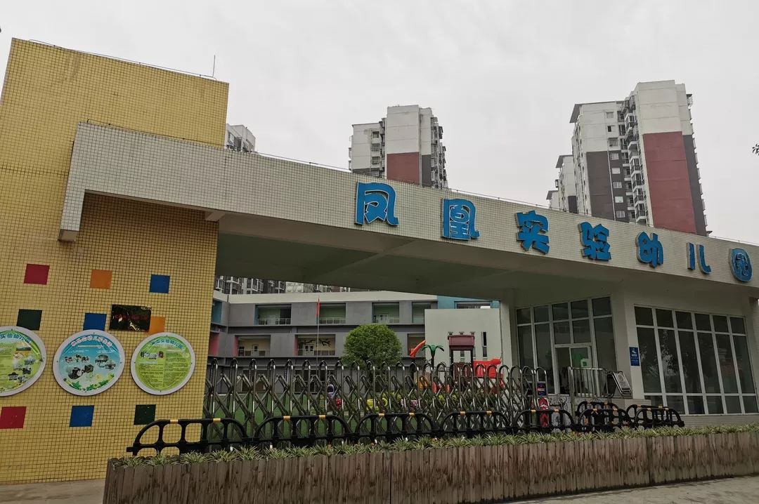 青白江巨人树幼儿园招生,成都青白江幼儿园有哪些